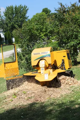 501019