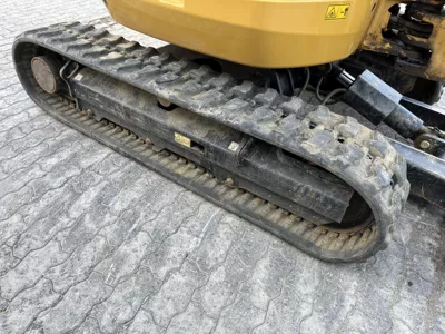 81031