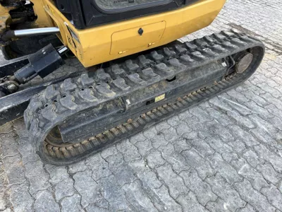 81031